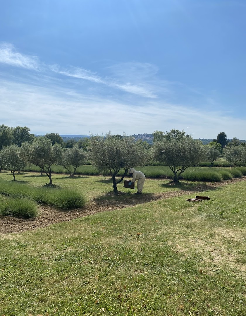 B.Guigou Apiculteur — photo 4